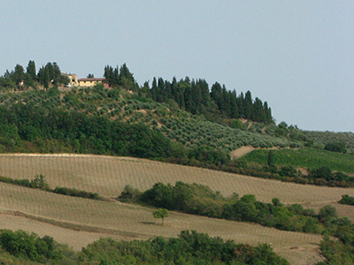 Fattoria di Rodano